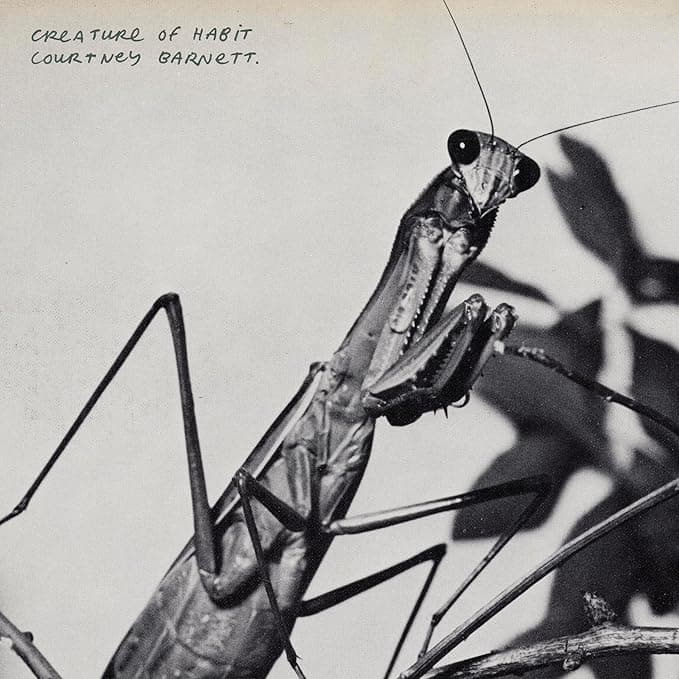 Courtney Barnett - Creature Of Habit